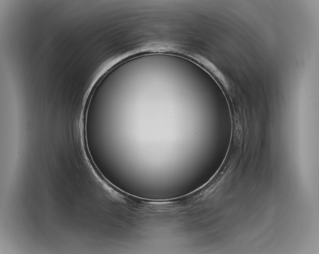 X0000115231343200911061120