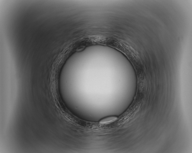 X0000115231345200911061119