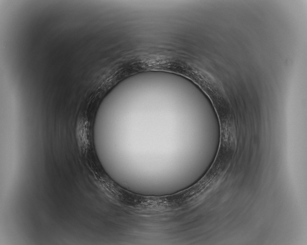 X0000115231346200911061119