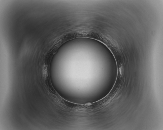 X0000115231347200911061119