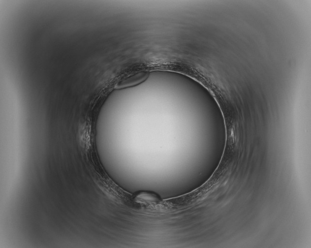 X0000115231348200911061119