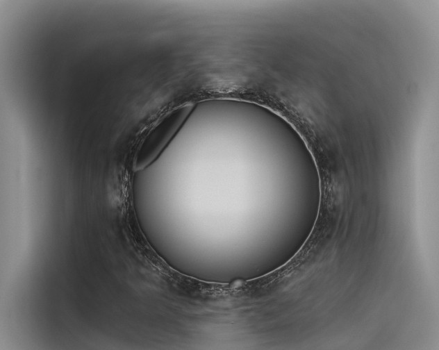 X0000115231349200911061119