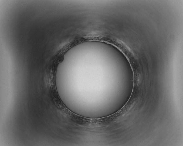 X0000115231350200911061119