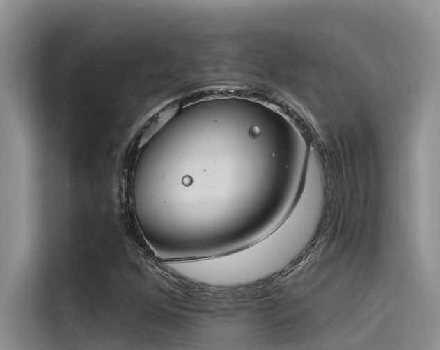 X0000115231352200911061119