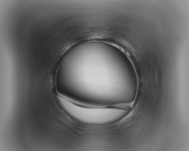 X0000115231353200911061119