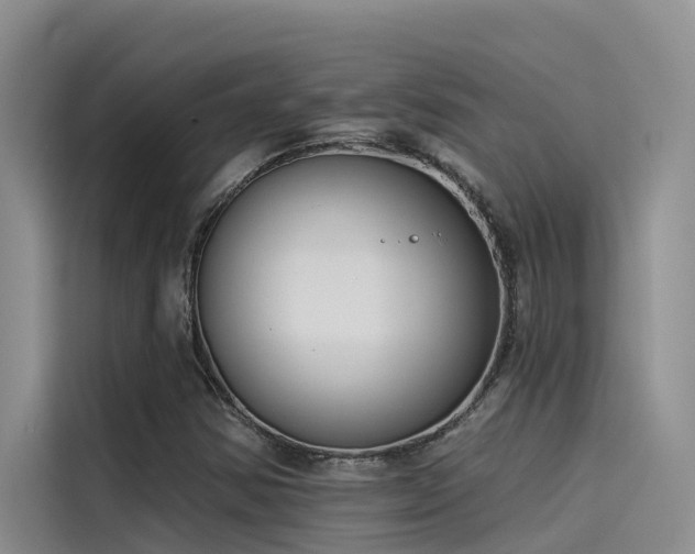 X0000115231354200911061119