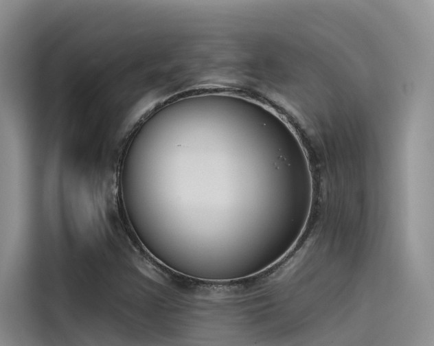 X0000115231355200911061119