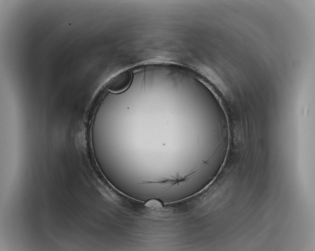 X0000115231356200911061119