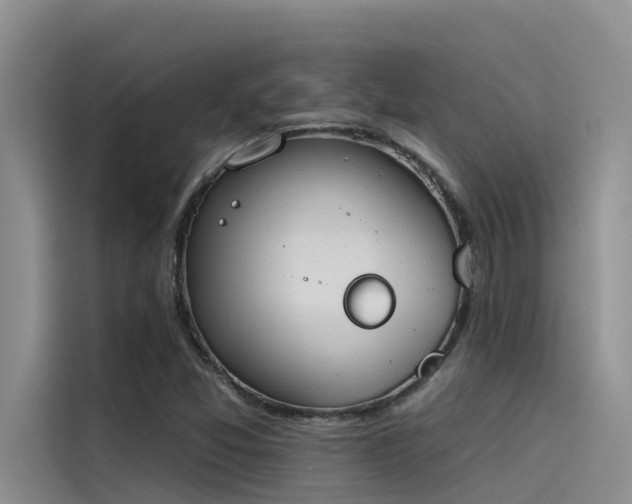 X0000115231357200911061119
