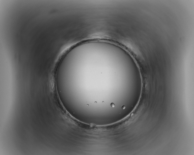 X0000115231358200911061119