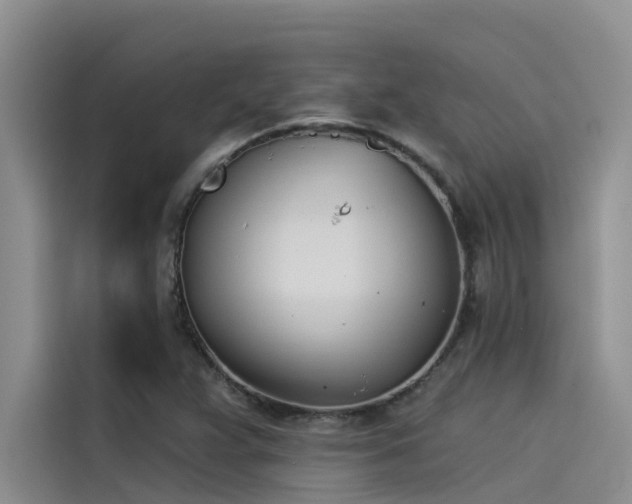 X0000115231359200911061119