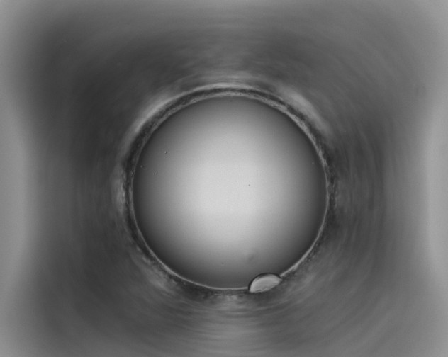 X0000115231360200911061119