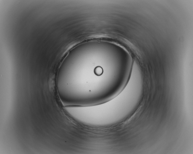 X0000115231361200911061119