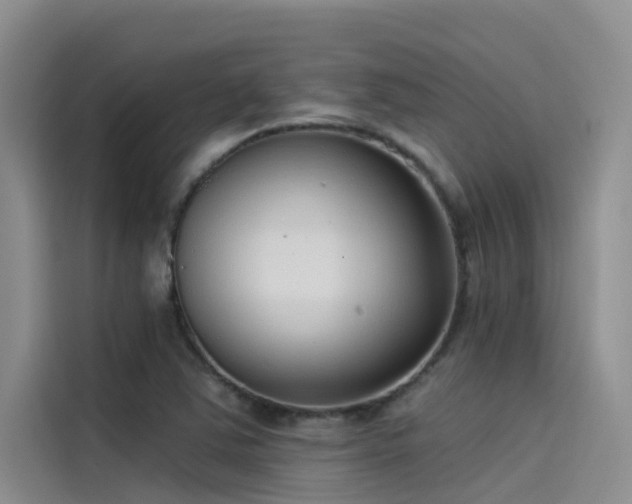 X0000115231363200911061119