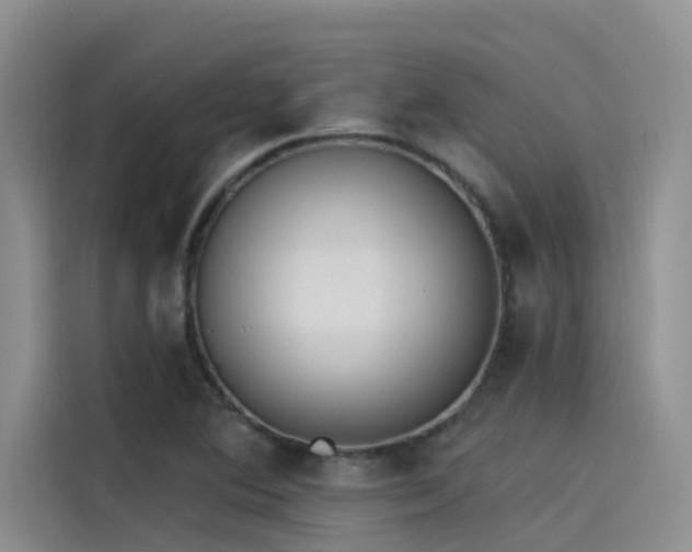 X0000115231364200911061119