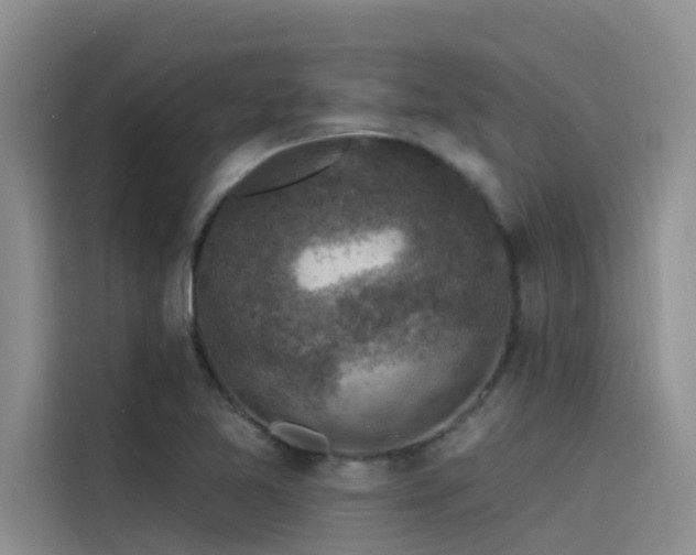 X0000115231365200911061119
