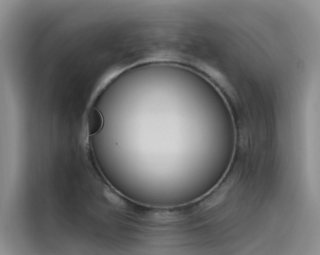 X0000115231366200911061119