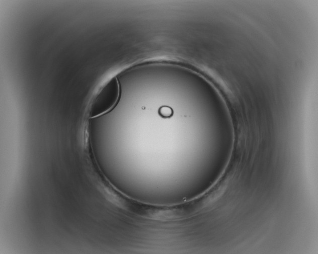 X0000115231367200911061119