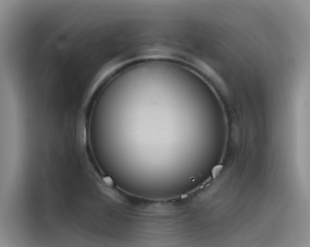 X0000115231368200911061119