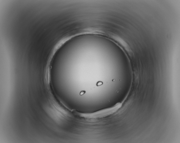 X0000115231371200911061119