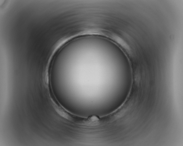 X0000115231372200911061119