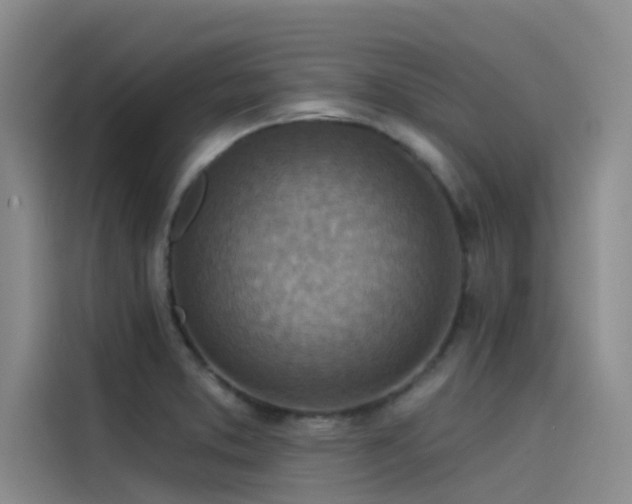 X0000115231373200911061119