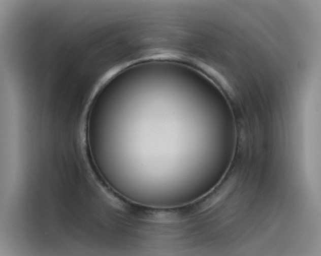 X0000115231375200911061119