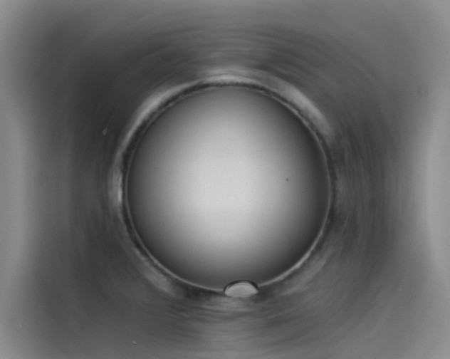 X0000115231376200911061119