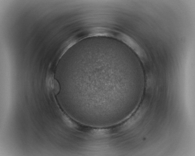X0000115231377200911061119