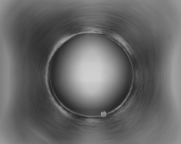 X0000115231379200911061119