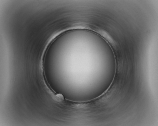 X0000115231380200911061119