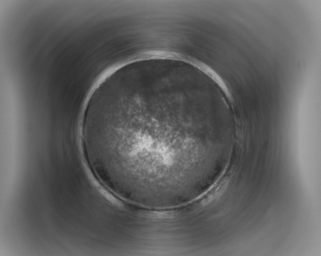 X0000115231381200911061119