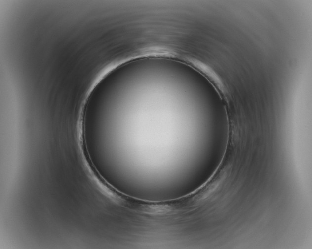 X0000115231383200911061119