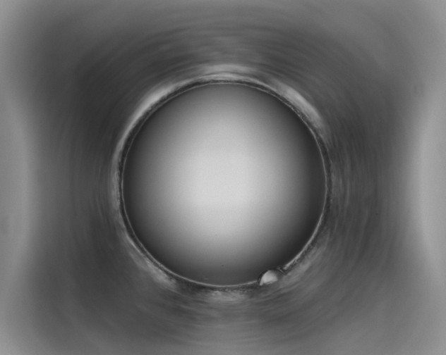 X0000115231384200911061119