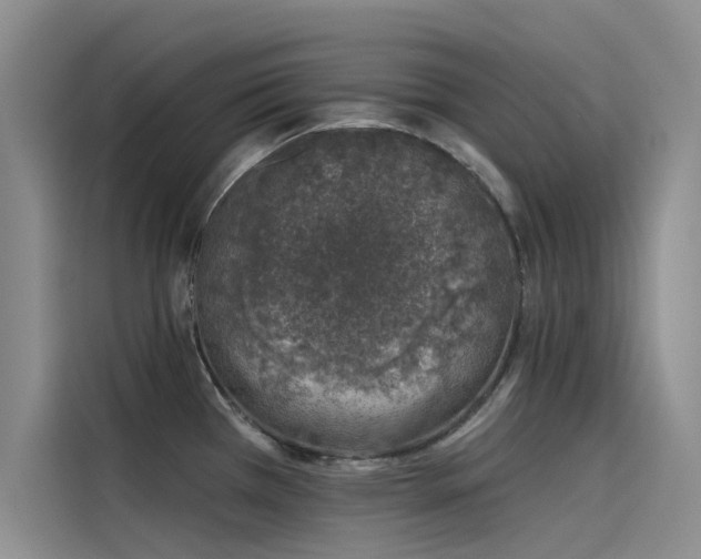 X0000115231385200911061118