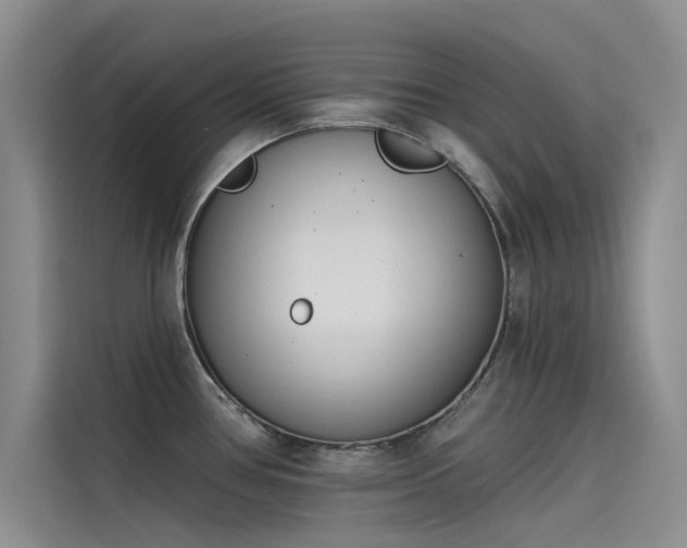 X0000115231386200911061118