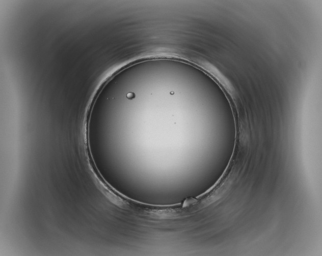 X0000115231388200911061118