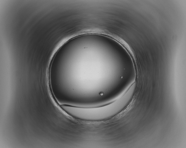 X0000115231389200911061118