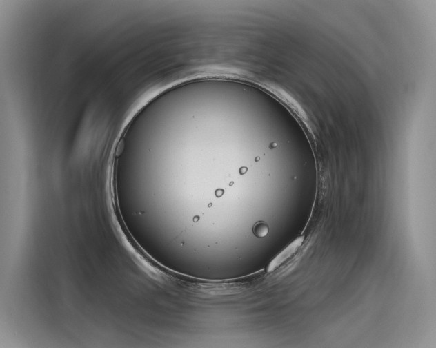 X0000115231391200911061118