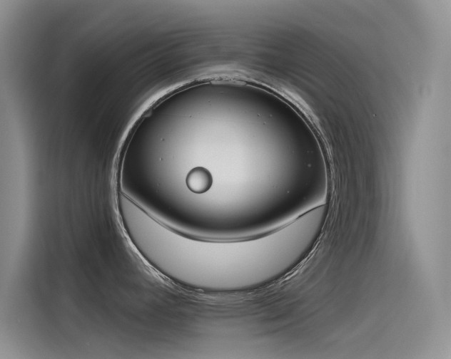 X0000115231392200911061118