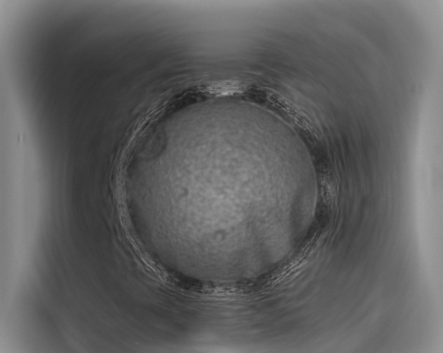 X0000115231393200911061118
