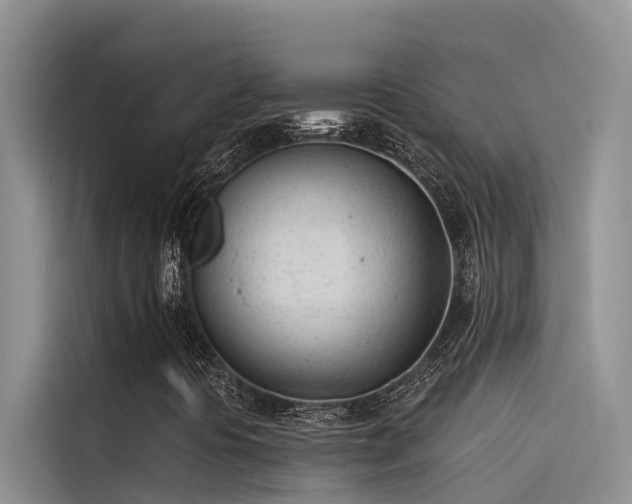 X0000115231394200911061118