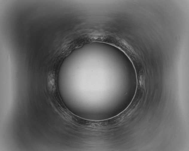 X0000115231396200911061118