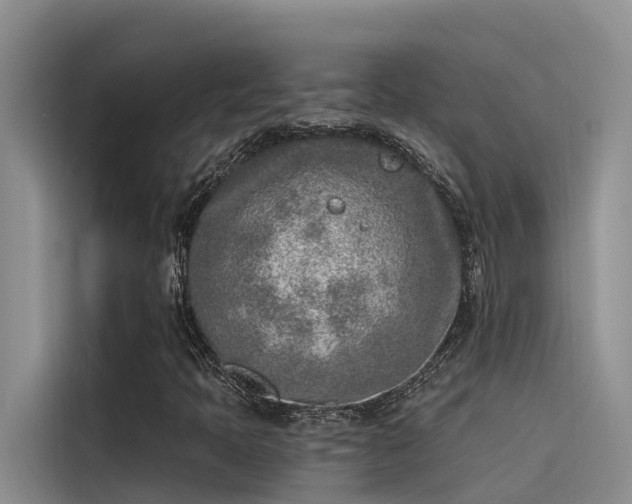 X0000115231397200911061118