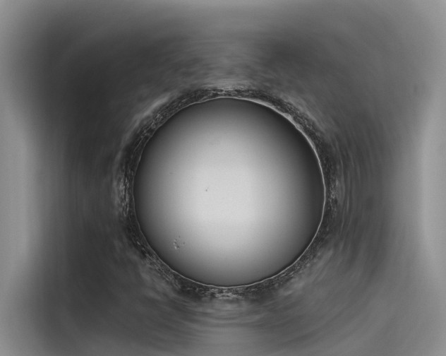 X0000115231398200911061118