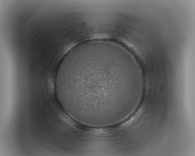 X0000115231401200911061118
