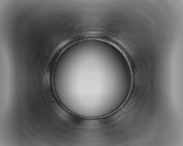 X0000115231402200911061118