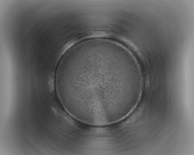 X0000115231409200911061118