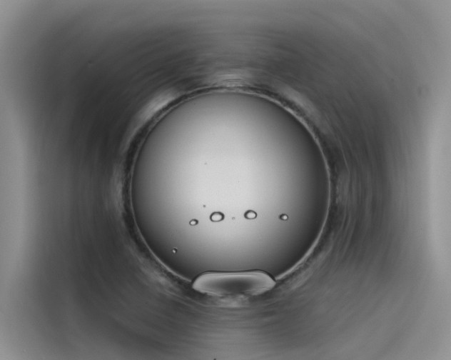 X0000115231410200911061118