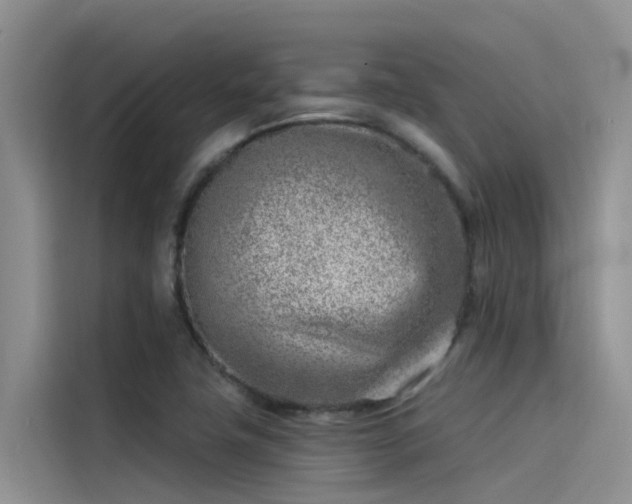 X0000115231411200911061118